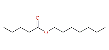 Heptyl pentanoate